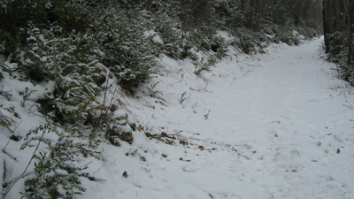 chemin du col de maupas,loscence,la-chapelle-en-vercors,drome