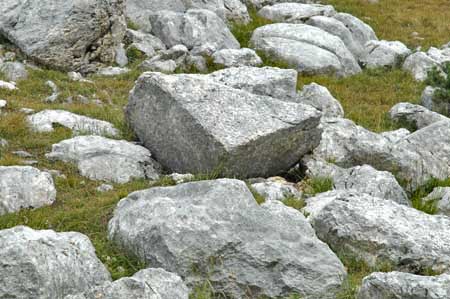 bloc-romain-vercors-drome