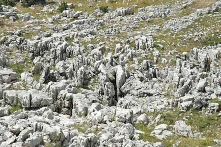 lapiaz-reserve-vercors-drome